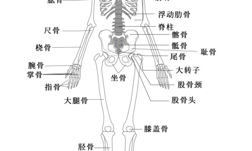 卡其拉手表什么牌子-卡其拉是哪个国家、卡其拉食品有限公司 -卡其拉婴儿用品价格网